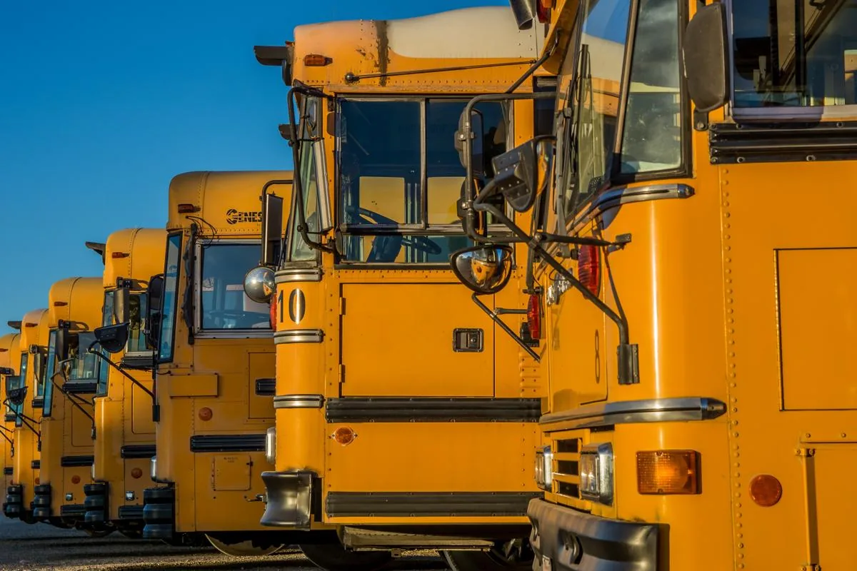 A row of parked yellow school buses